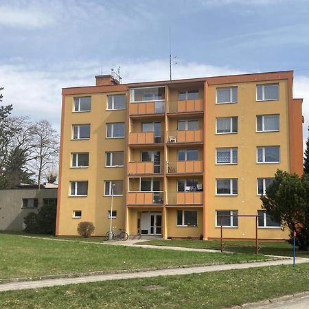 Apartman Ve Velkych Losinach Velké Losiny Eksteriør billede